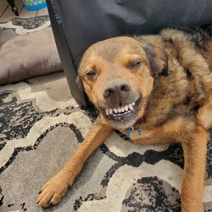 Meet your Posher, Athena